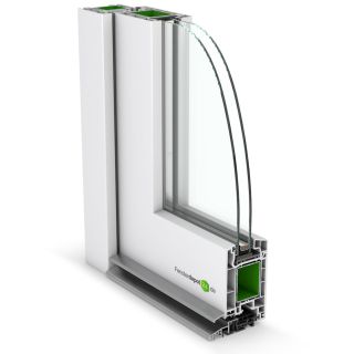 Haustür Kunststoff P 870 Motivglas 1