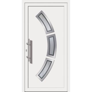 Haustür Kunststoff P 870 Motivglas 1