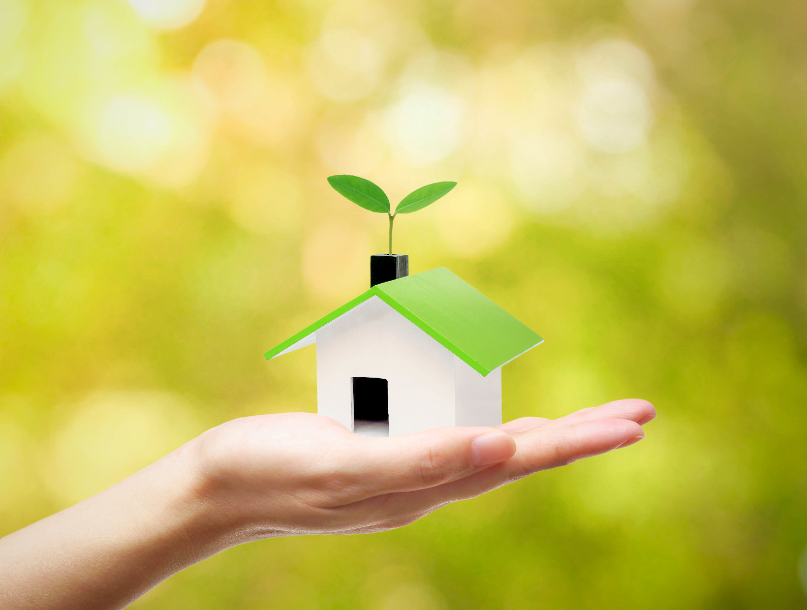 Haus mit grünem Dach in Hand