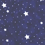 036-II-1
