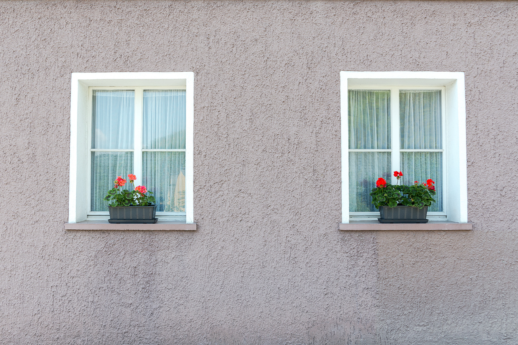 Nahaufnahme eines Hauses mit zwei weißen Fenstern jeweils mit einem Blumenkasten darauf.