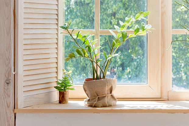 Nahaufnahme einer Fensterbank aus Holz