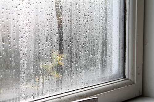 Schimmel am Fenster